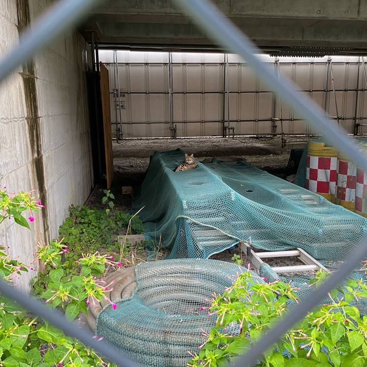 6771d1ff cac2 4147 9c7f 05f038debb98 1662816275717