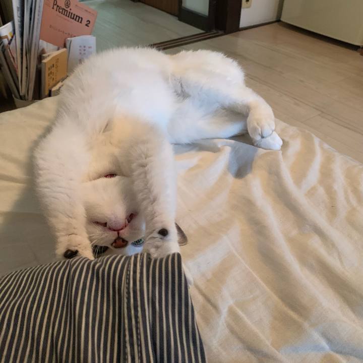 6771de30 e131 4627 b0a1 ed108c706df7 1620579397586