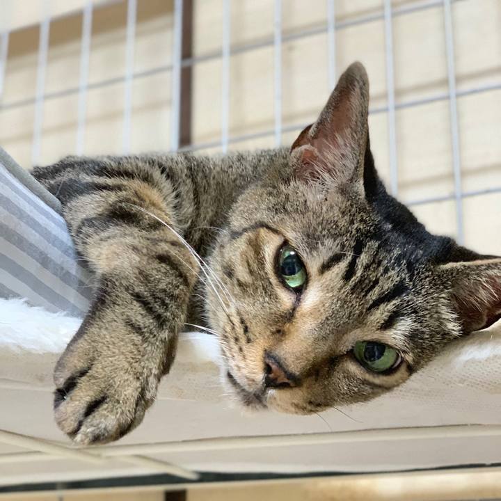 6771de35 f52a 4ec4 84bc 849eb66f58c0 1563671828846