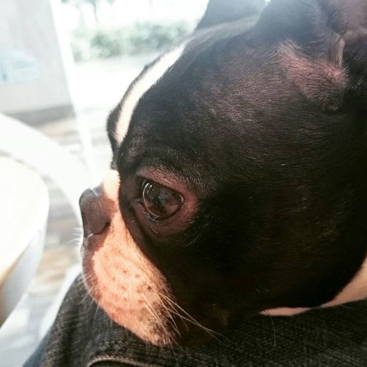 6771ef05 cca4 4693 a044 450df71a2291 1532763976862