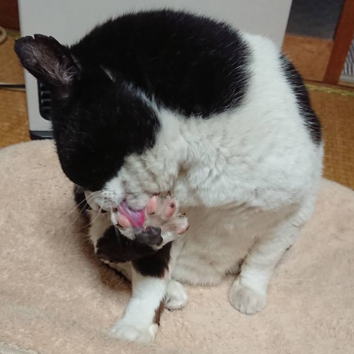 6771eff0 7104 4593 add7 a1d2beb67066 1651411779972