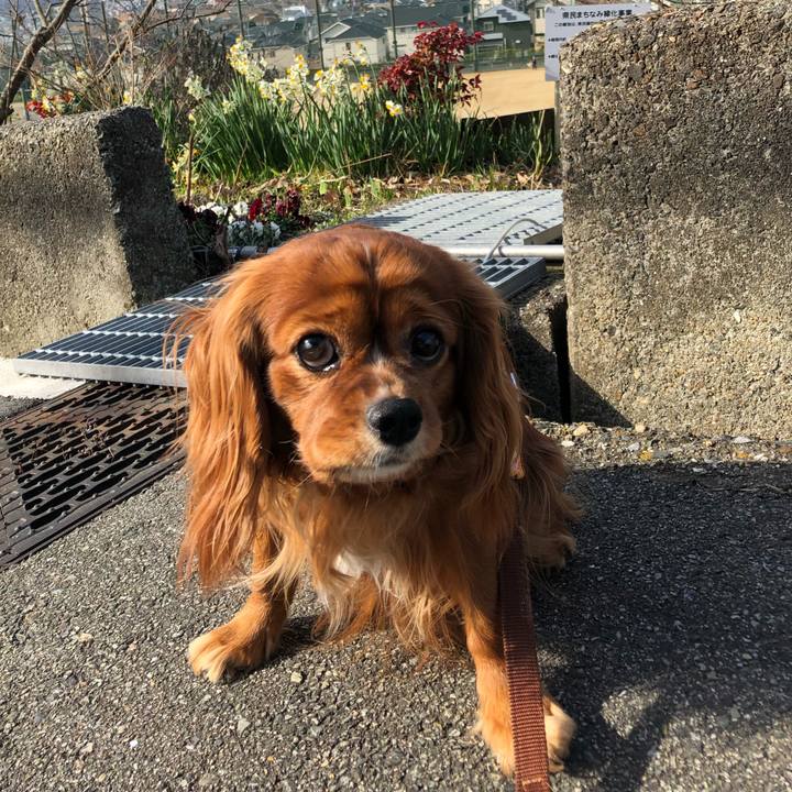 6771f528 24e8 44e4 812e 92ef2fb4f7a8 1614388306946