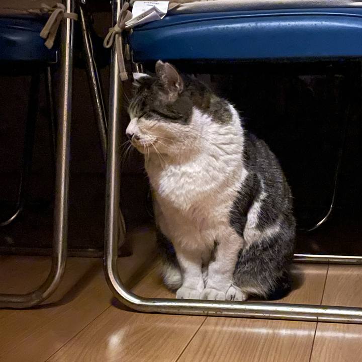 6771f62a 9b57 48ef 8363 a2818764bd3b 1672137833543