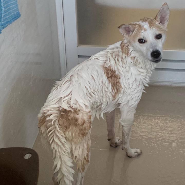 6772867f 1890 4e6e a4eb 6175c4565442 1671072383607