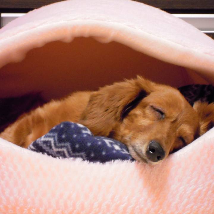 6772a3e4 6c82 4d73 8330 2a8f55bec81c 1538763637215