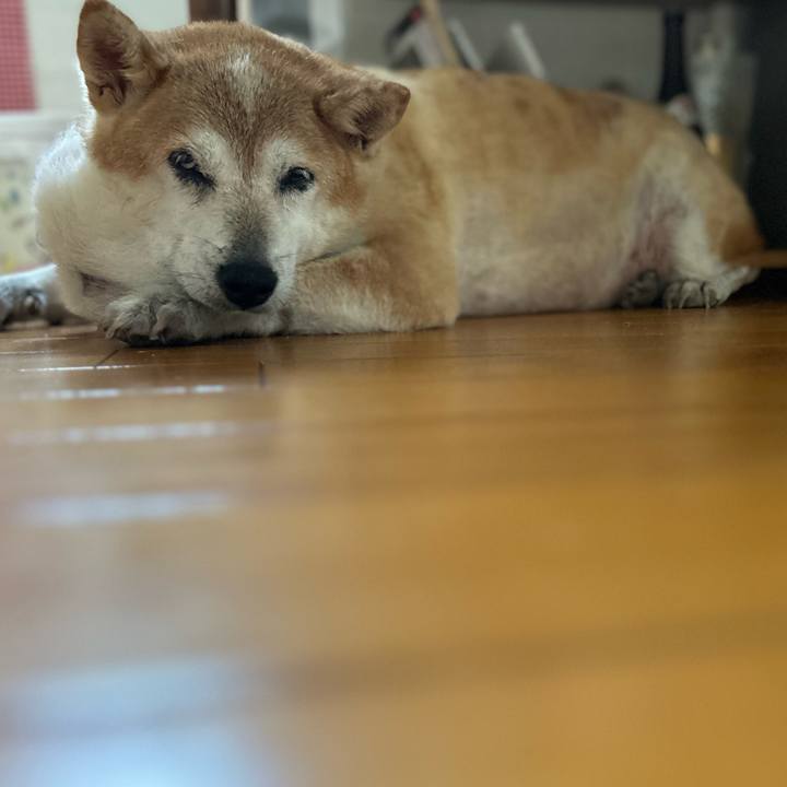 6772ff38 3441 4f6f b1b9 bbb2c6f5b67f 1758548313822