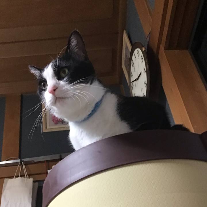 67735104 34d0 40ba 88ba 8831ca28b090 1748508762955