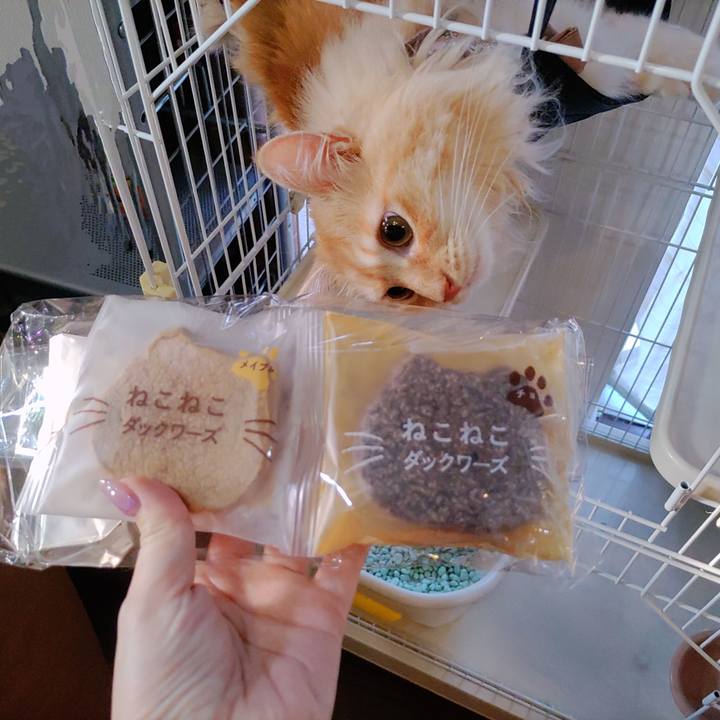 677361e8 5b8c 4715 920c f5c3042362cb 1722897343216