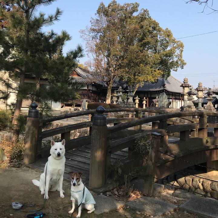 67737983 4e77 47a1 990c fe8ab3389a99 1519438210816