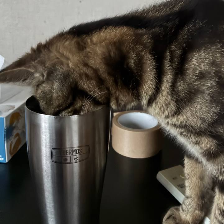 67737d03 8973 463b 87b0 17cafd14ae13 1750067880323