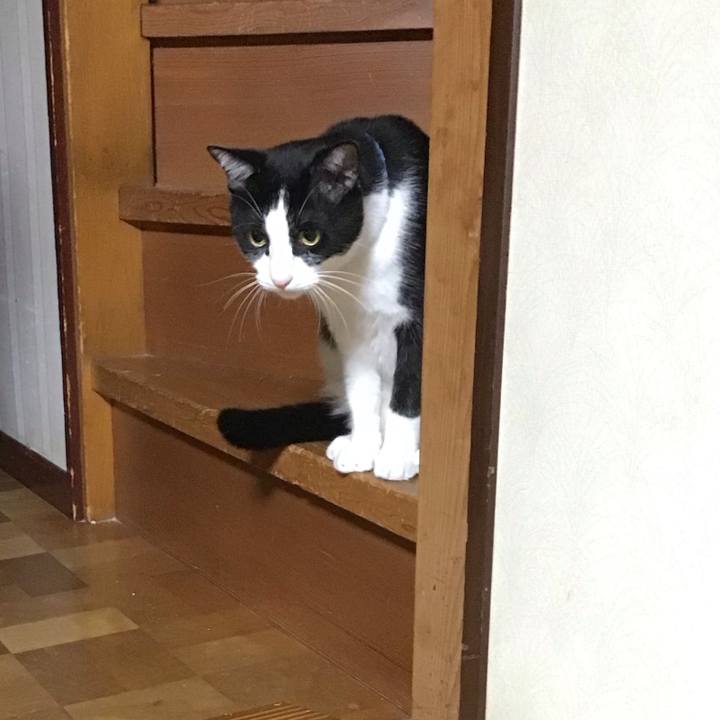 6773b112 8e65 48ec be8e 3a10cfecec44 1695732167258