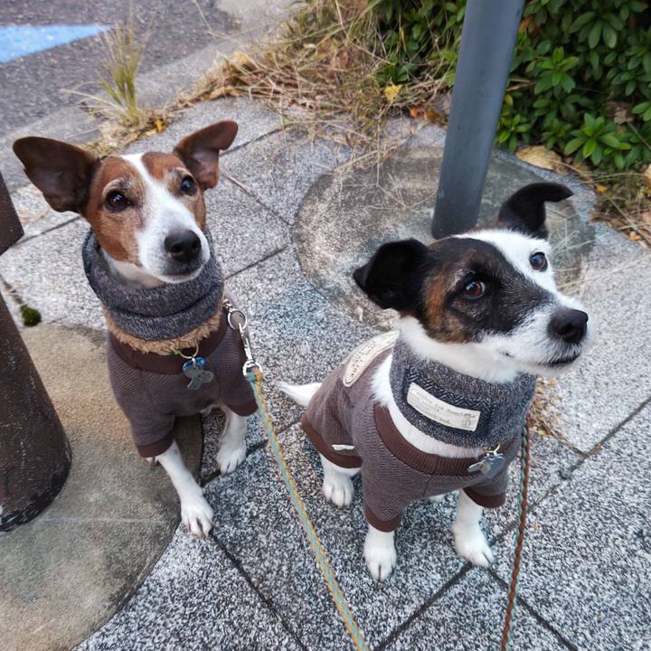 6773b3cd 79fb 4ac7 9f0f 255e4475f536 1734039738991