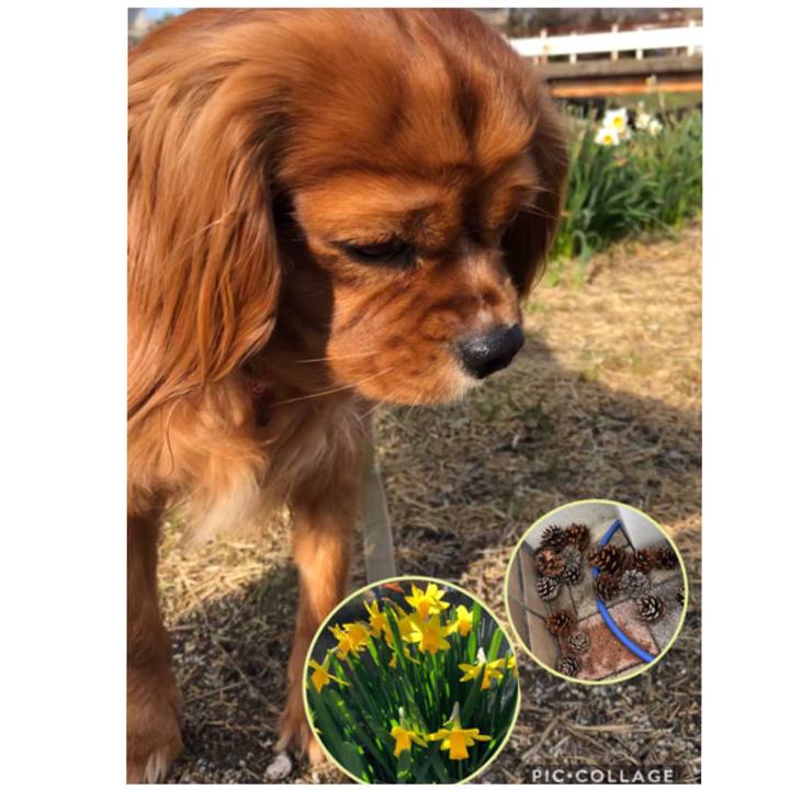 6773fb30 5b52 4a91 ae40 0aa893204c71 1552714336647