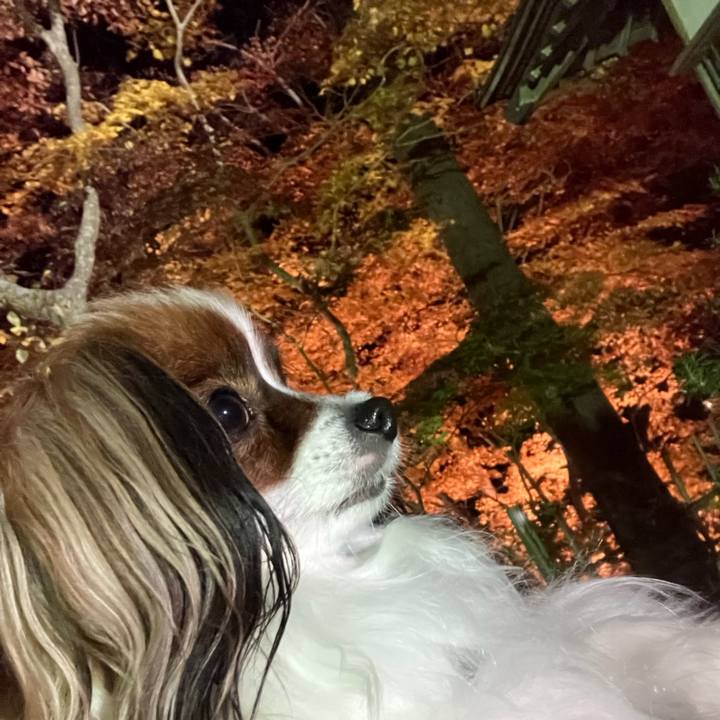 67743450 3936 4671 8af6 bfdfc9536d06 1699053134359