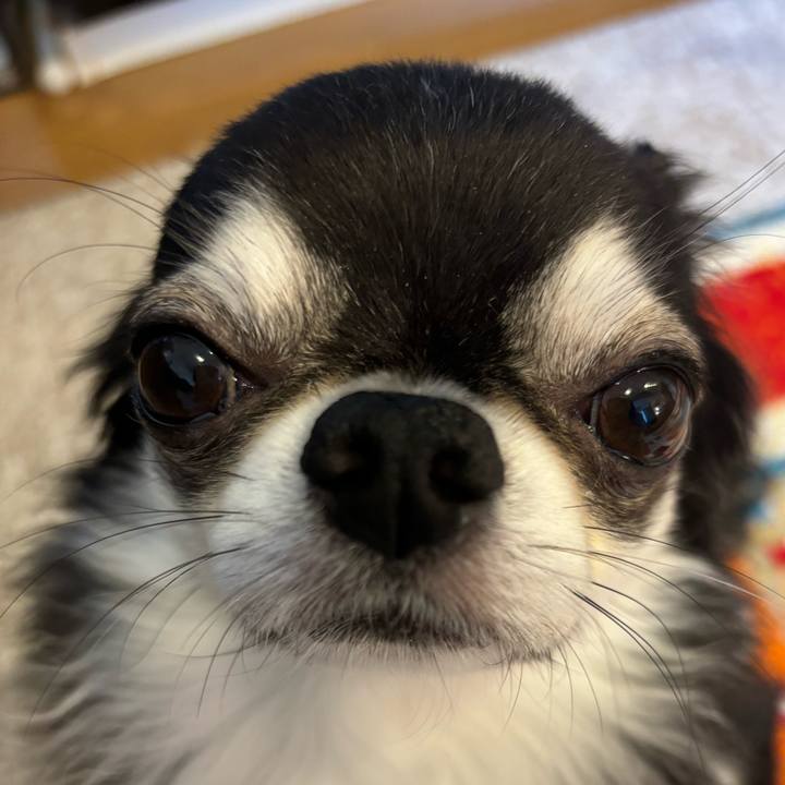 677436f3 85e1 4370 a0d0 78787dec5b8c 1730588976015