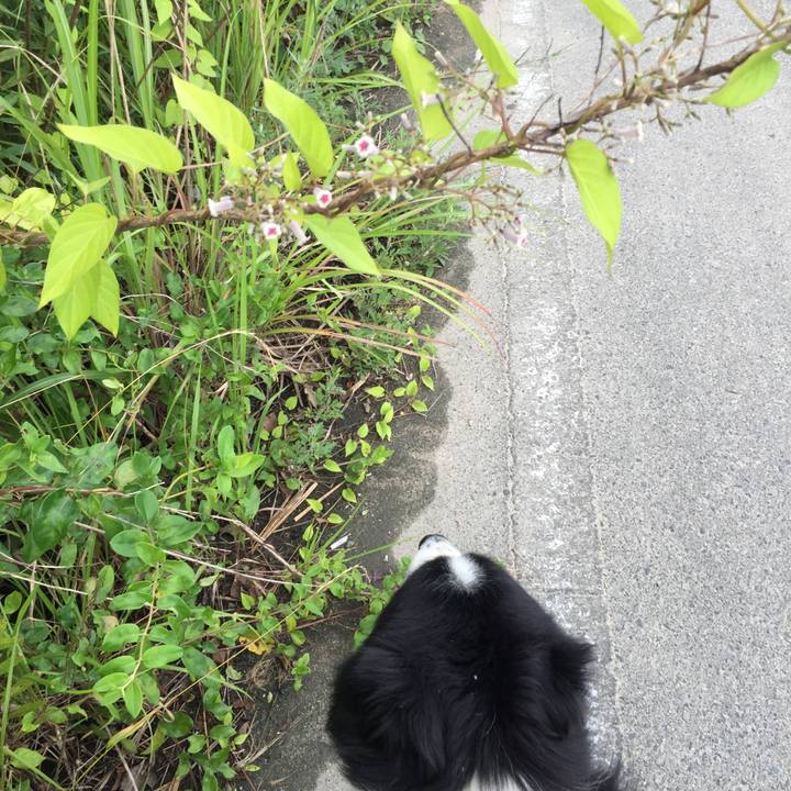 67744791 1390 4e00 97bd bf45767e2f84 1530053364409