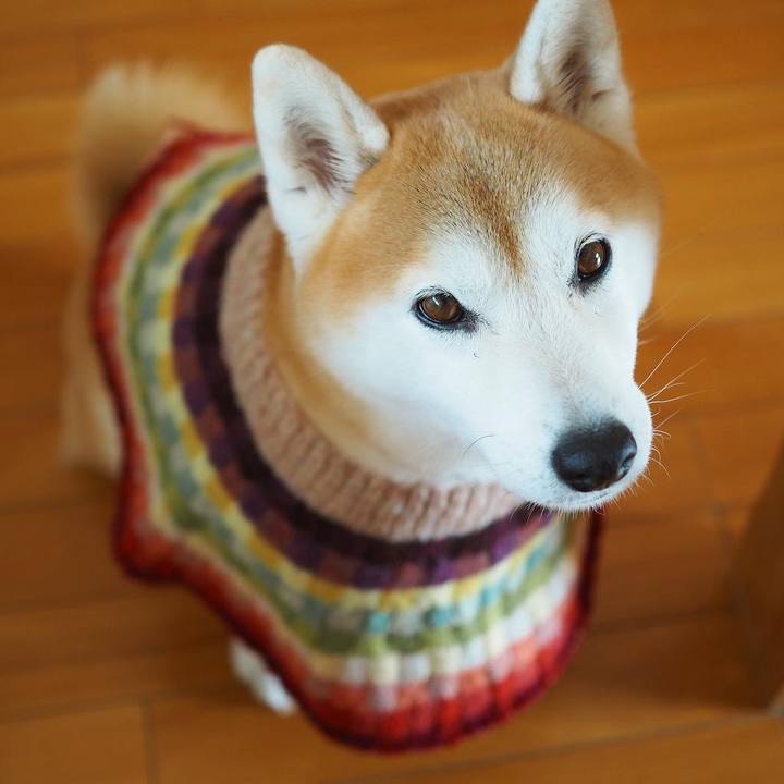 67746a0a e142 453c 83dd c468f9f6196f 1674363604095