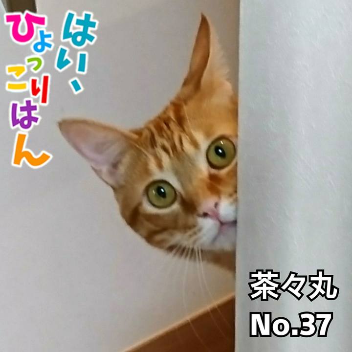 67749940 2bd7 4011 8326 469458885548 1526731649821