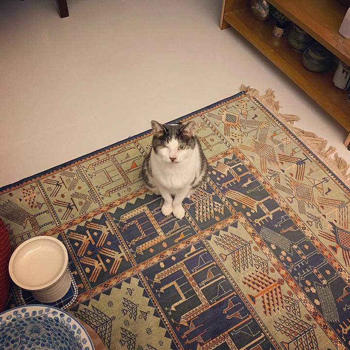 6774ca97 c1f4 4507 97b8 3f25e4fb9cd6 1611319348733