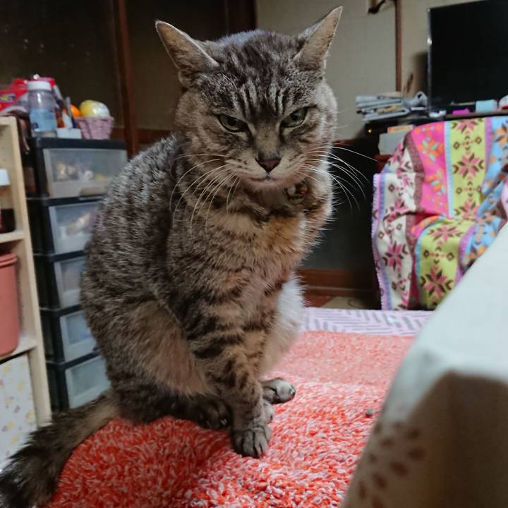 6774cfa9 2ba5 4580 beea 6009c6df0543 1584908500837