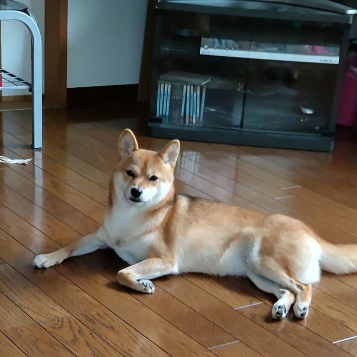 6774cfc7 2858 4e9a a2b0 3616292b030d 1632276279375