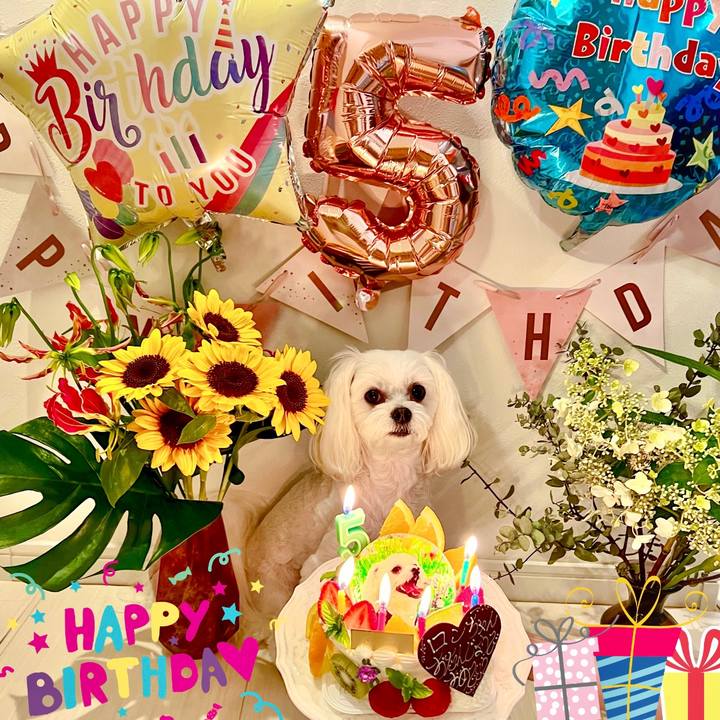 6774d4e4 fd96 4cf3 b55b 5dad993c2368 1661486847109