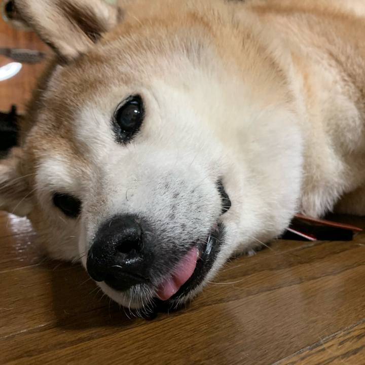 677511d0 76df 41f4 84f9 fed877c5bcb9 1599144274945