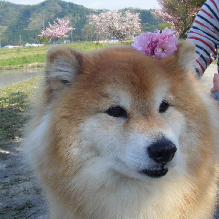 6775429c d083 4a29 9b86 21359b15ded1 1522069396657