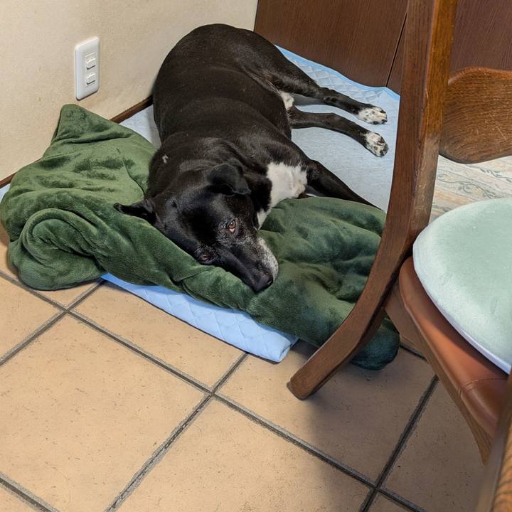 67754527 4a2c 431e 92d7 c19753f088f1 1750376734148