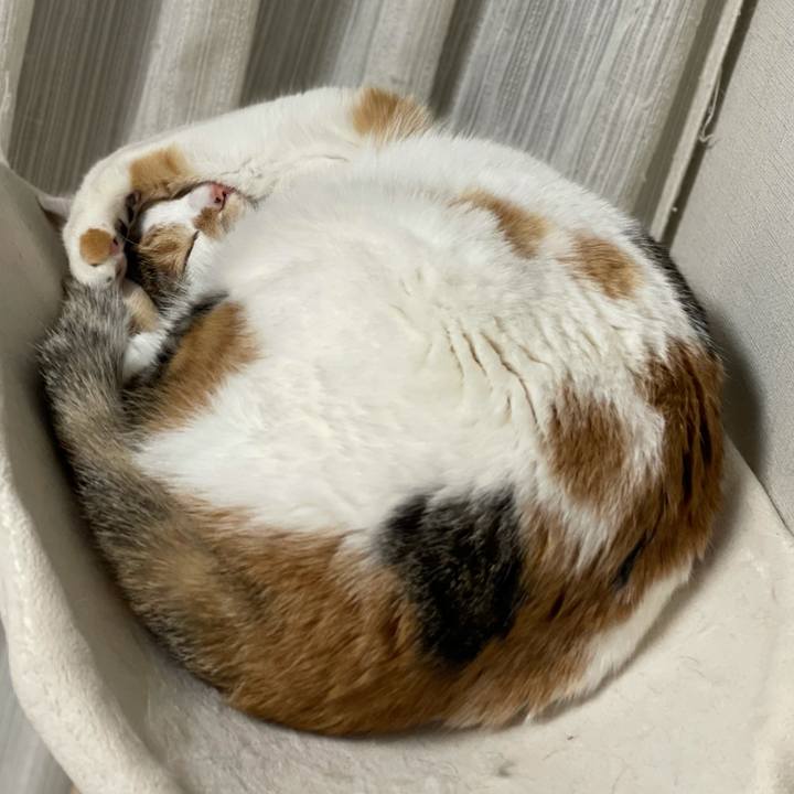 677548a1 ea19 49e6 8ef4 e80845f63083 1613917656783