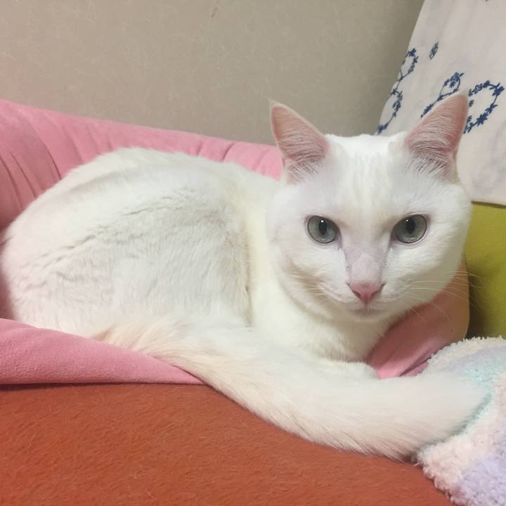 677559af 47c4 442d 802c 23df6db35e8d 1518268437721