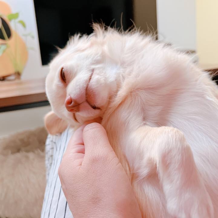 677562ca 1699 4965 85e6 f445314770df 1664186751617