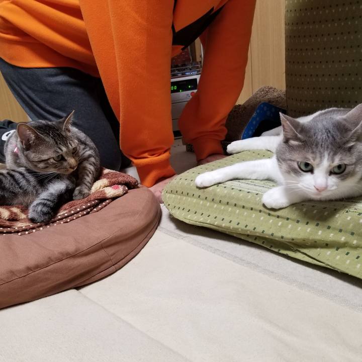 67756ccd 7523 427d 852c 971ee52c4e86 1681644206221