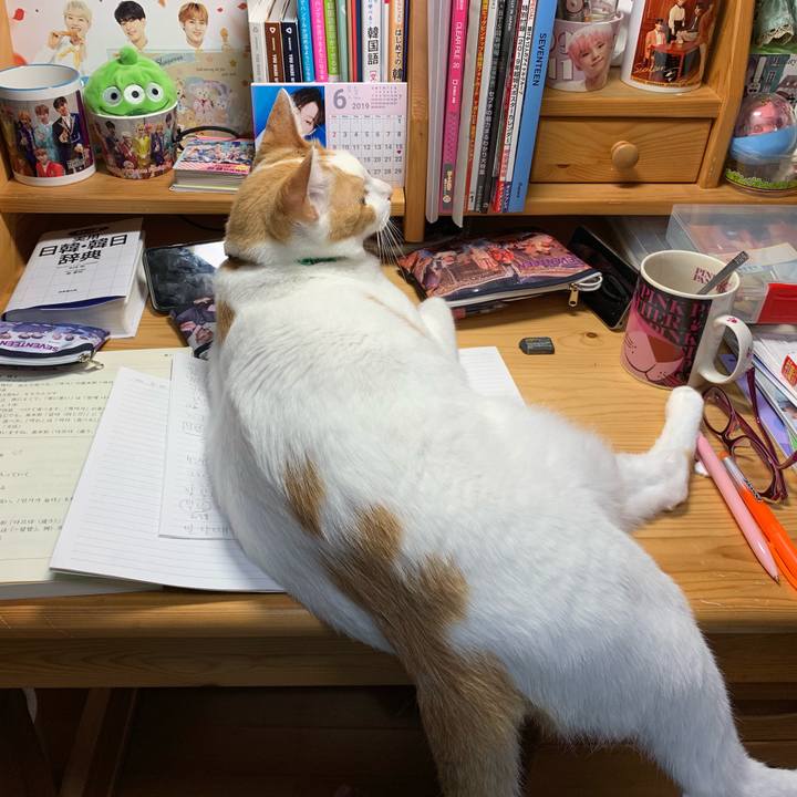 67757ea4 6077 4d13 b36b 77d2d7d71031 1560178314275