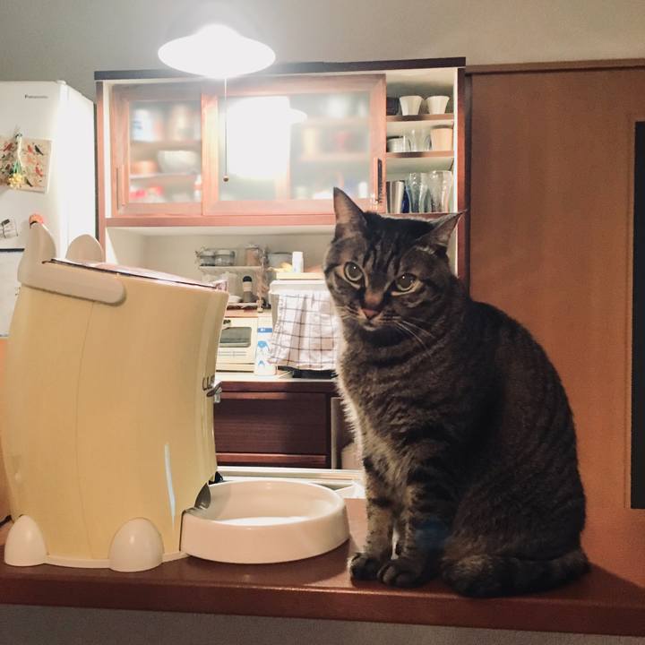 67758773 85d2 4e23 bdf1 d28f19603b3b 1551965914036