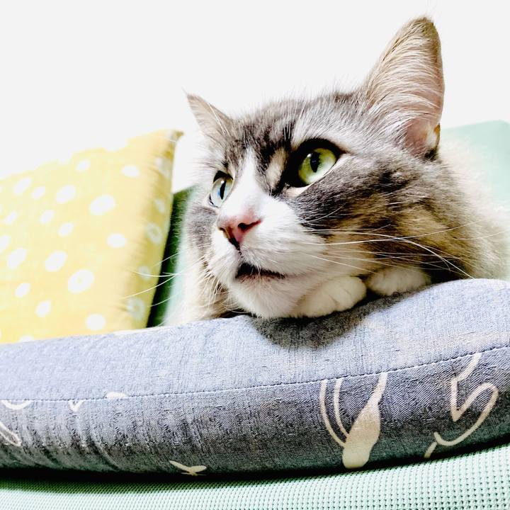 67758afb 3712 43d1 a5c0 2e1f1b3b9923 1753976223557