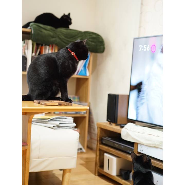 67759c92 b5b1 4f93 bc5c 960d44a6c488 1550534211280