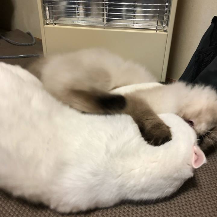 6775a3d1 d73a 4e4e 874d ed62b1651dc4 1635083157990