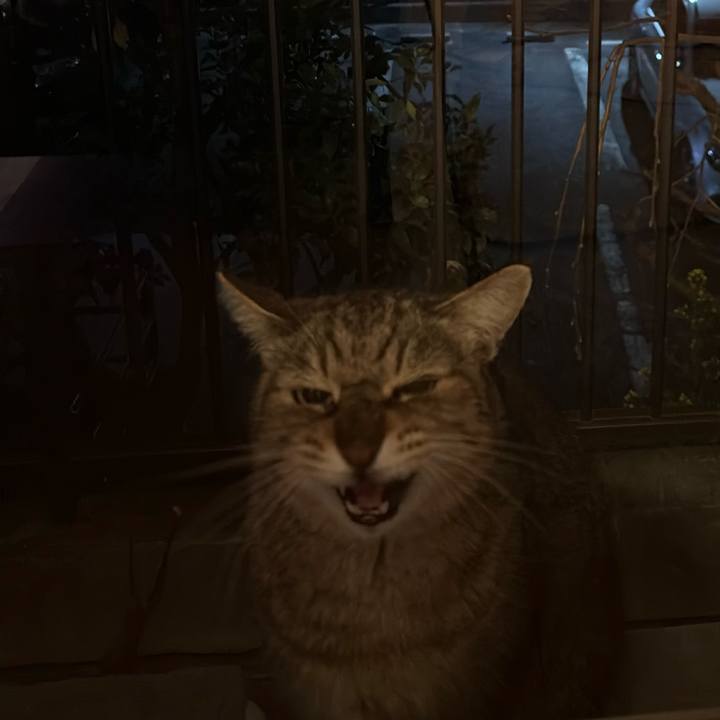 6775bd1e 8052 4c4e b557 608097d5ea03 1774708456884