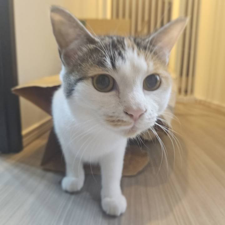 6775bd44 7109 480b 8e64 14691281e952 1760162979527