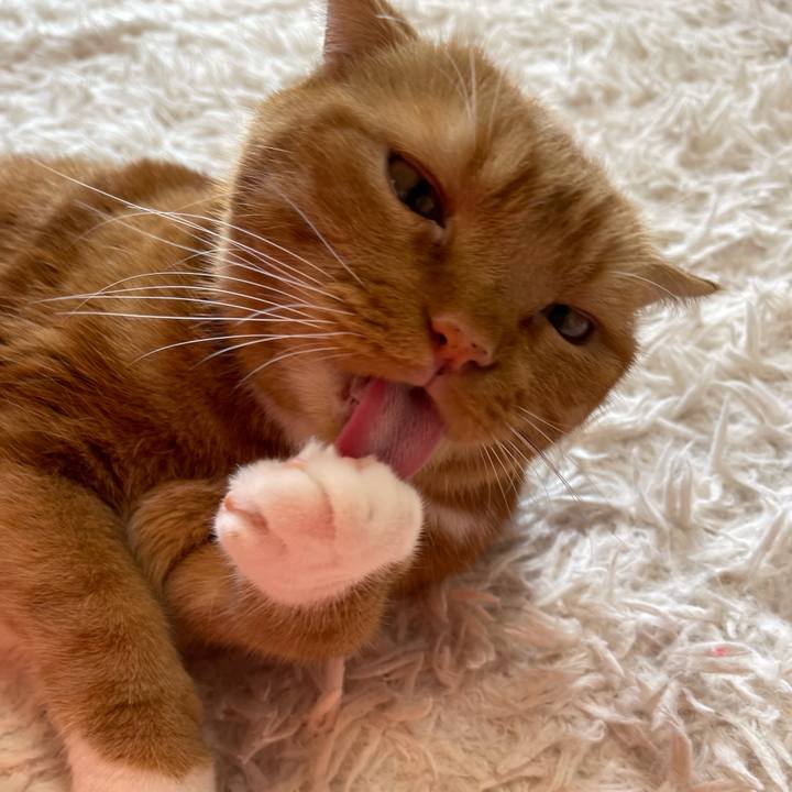 6775d2fc 8154 4b7a 9789 199c9dbcf75c 1660975134722