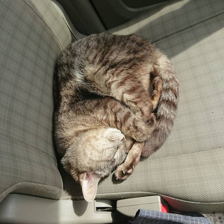 6775d70c 6cb0 43c8 9583 c1f76378b77a 1556427859578