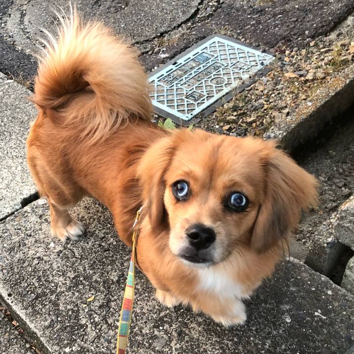 67761a01 5c5b 4777 a208 8125056dc64f 1509831915398