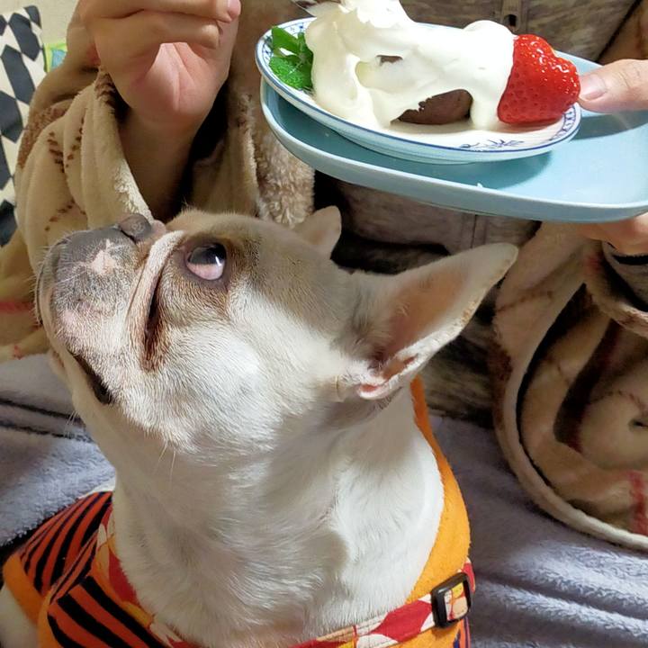 6776357c 1ab3 4c91 b382 c510e7273935 1640341215648