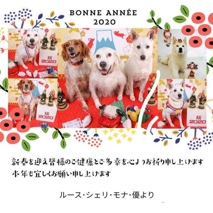 67763908 ca35 497f bc62 185c71ca211d 1577934309730