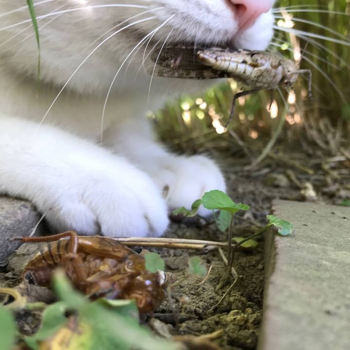 6776459f a5dd 456c a6b8 bca5e4d4da52 1532675731489