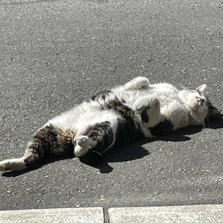 6776a2e9 31f4 4ae7 b61c 1f78a5690fff 1614755592022