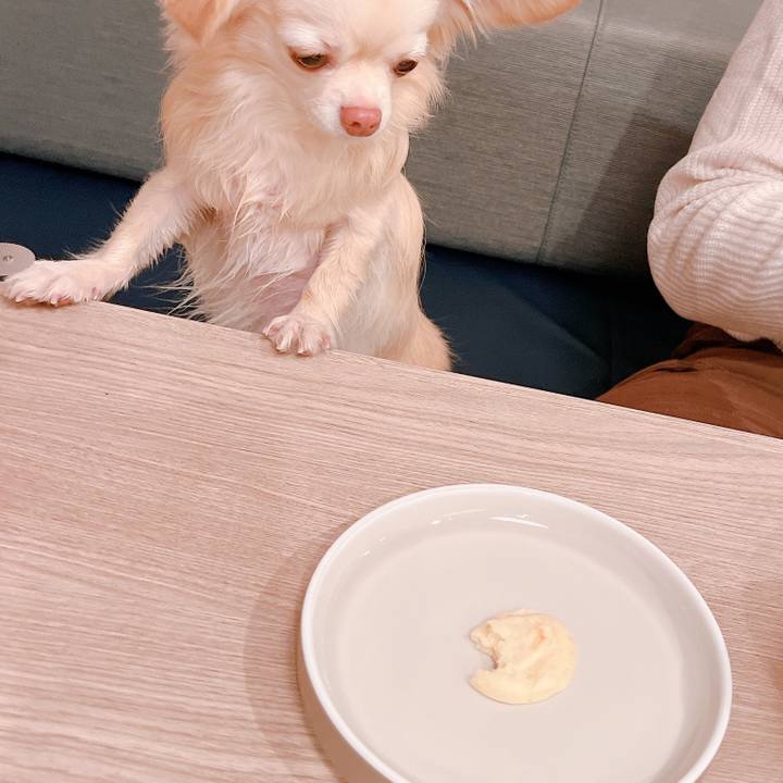 6776a60b bfa0 4392 9212 b7ea294a842a 1672907043132