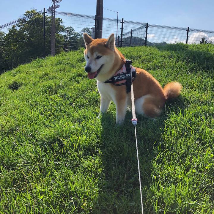 6776b2c7 2f51 4160 8fdb a601bd7997ec 1567213499664