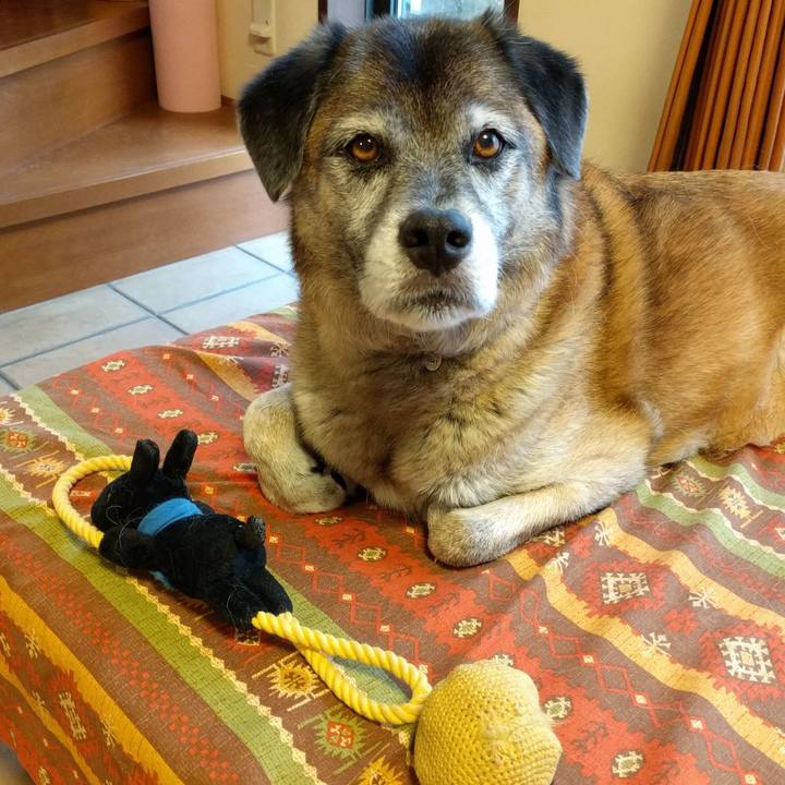 6776d805 bc55 4669 8ae9 d18ca9772e5f 1532992582404